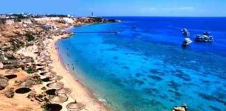 I single vanno in vacanza nel Mar Rosso