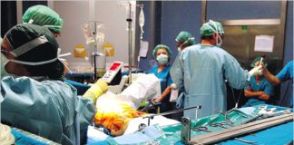 Trapianti, espiantati organi da 2 turiste morte a Olbia