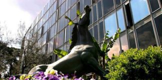 “Struttura Delta”, il direttore Rai apre indagine interna