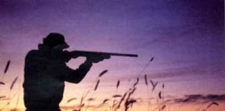 Blitz della guardie del Wwf, denunciati tre cacciatori di frodo sui Regi Lagni a Villa Literno: sequestrati i fucili