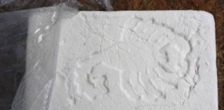 Narcotraffico, Liguria crocevia delle rotte