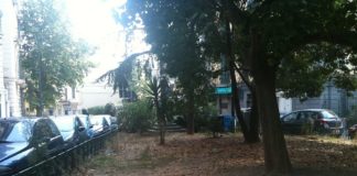 Verde pubblico nel degrado, scoppia polemica