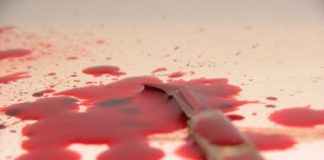 Roma: uomo ucciso in casa, interrogata la compagna