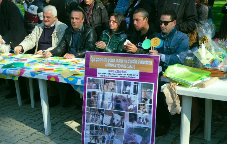 Fondi per il canile, ok l’iniziativa di Nati Liberi