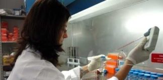 Procreazione assistita, colpo di mano: è polemica