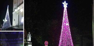 Luminarie natalizie, commercianti soddisfatti
