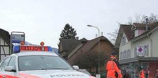 Svizzera: spara a figlie e si uccide, morta bimba di 2 mesi