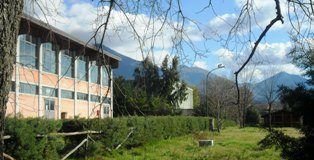 Canile comunale, Tar accoglie sospensiva