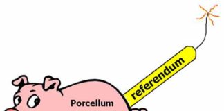 No Porcellum Day: “Vogliamo eletti, non nominati”
