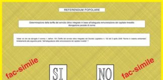 Porcellum, Consulta decide su referendum