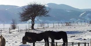La neve da tregua, aperti varchi verso le aziende