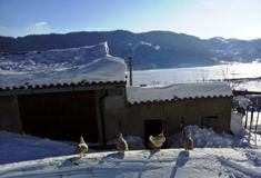 Aziende e famiglie isolate, situazione critica al lago