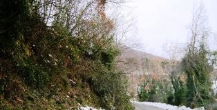 Neve, Acms riprende collegamenti con Piedimonte