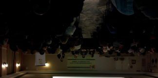 Violenza sulle donne, le associazioni in campo