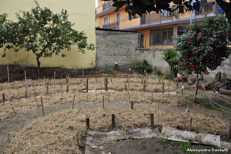 Decrescita per uscire dalla crisi e salvare il mondo