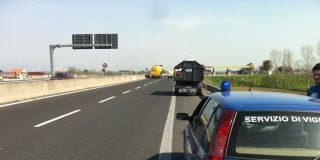 Servizi di vigilanza del gruppo Oipa Caserta