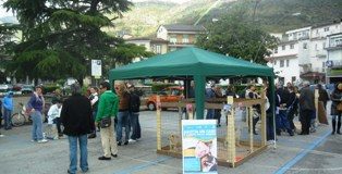 Animalisti in piazza, adottati nove cuccioli abbandonati