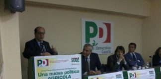 Agricoltura, De Castro: tutelare i prodotti di qualità