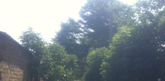 L’Astir prosegue il piano di bonifiche