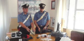 Topo d’appartamento in cella dopo inseguimento