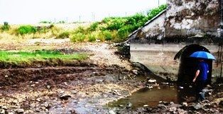 Moria pesci, l’Enel: colpa della siccità