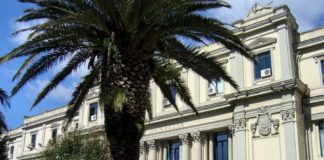 Why not: 9 condanne, 9 assoluzioni e 8 prescrizioni