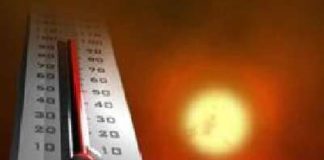 Cala il sipario su Fiera Agricola, affluenza record: 45mila i visitatori