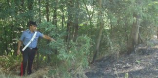 Appiccava incendi nel bosco, arrestato 70enne