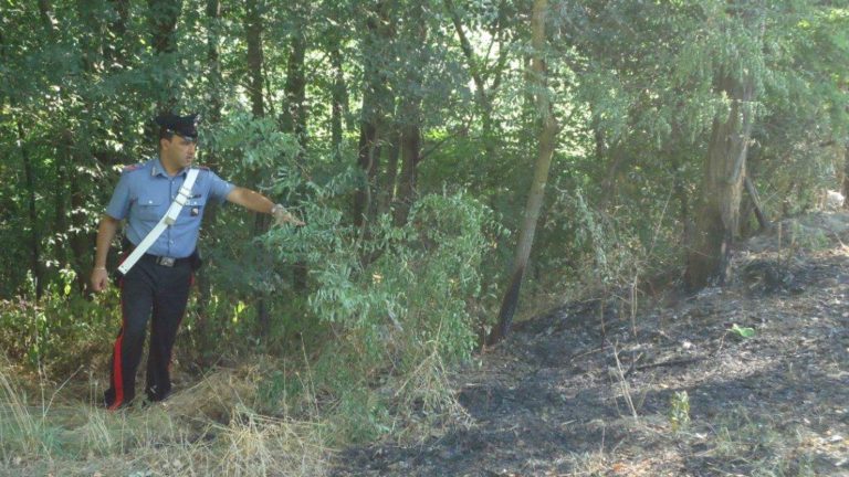 Appiccava incendi nel bosco, arrestato 70enne