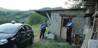 Uccise agricoltore nel luglio 2010, arrestato 30enne