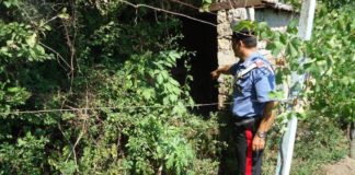 Latitante stanato in un casolare di campagna