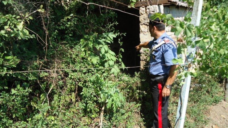 Latitante stanato in un casolare di campagna