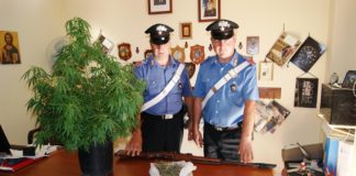 Armi e marjuana sequestrate dai carabinieri
