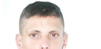 Polizia arresta ladri di biciclette