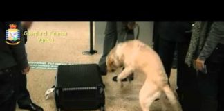 A Malpensa con 40 chili di cocaina, tre arresti