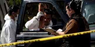 Messico, scoperto furgone con 14 cadaveri