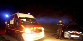 Volpe attacca bimbo in culla e gli stacca un dito