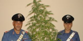 Armi e droga in casa, un arresto e una denuncia