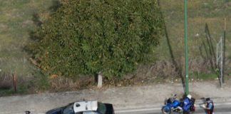 Droga, proseguono controlli contro uso e spaccio