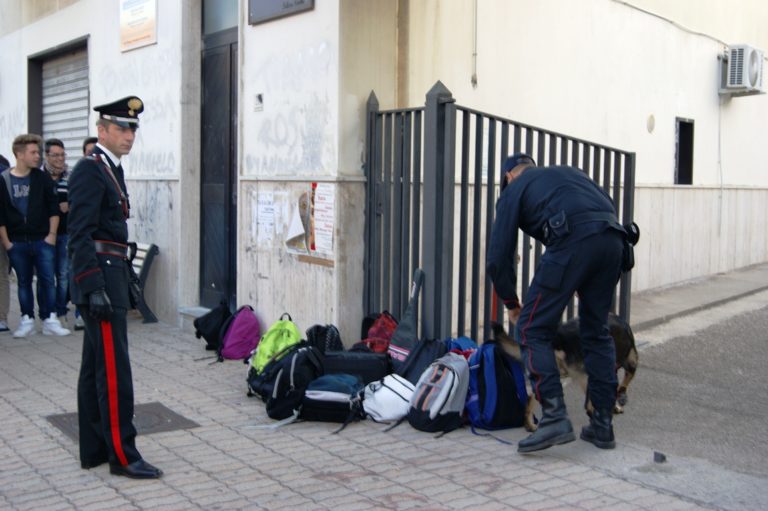 Droga, controlli nelle scuole con le unità cinofile
