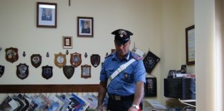 Coltivava marjuana in casa, arrestato pregiudicato