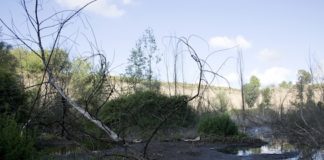 Maddaloni: allarme pirite nell’ex cava a Masseria Monti