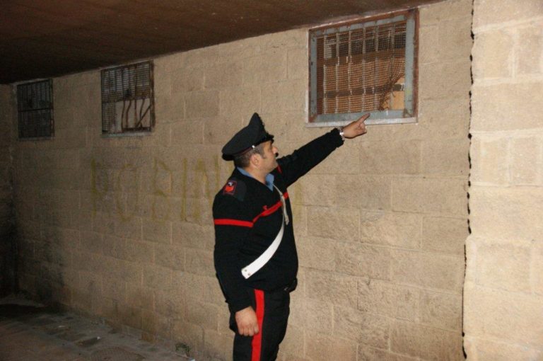 Era pronto a svaligiare un negozio, arrestato
