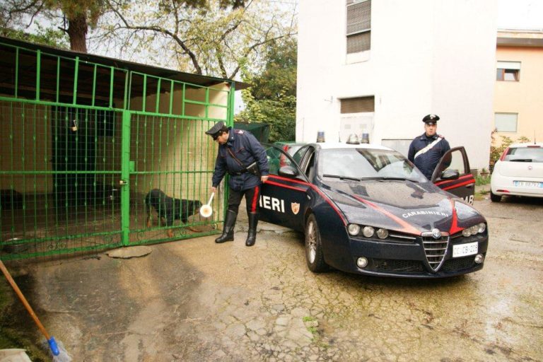 ‘Rott’ a protezione della droga, manette a due pusher