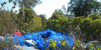 Denuncia Day, Orta invasa da eternit