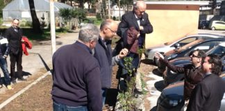 Festa dell’Albero al Buonarroti di Caserta