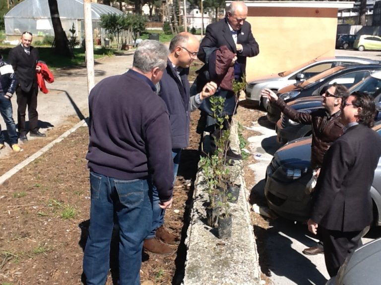 Festa dell’Albero al Buonarroti di Caserta