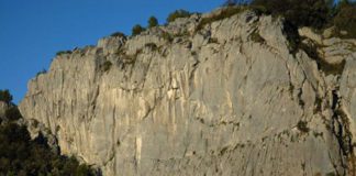 Ex incursore della Marina si suicida lanciandosi nel vuoto