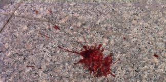 Emanuele ucciso con due coltellate, lama di 10 cm: ha cercato di fuggire