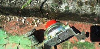 Vandalizzato il Principe Umberto, le foto esclusive